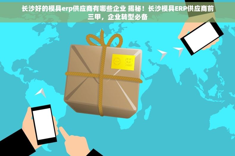 长沙好的模具erp供应商有哪些企业 揭秘！长沙模具ERP供应商前三甲，企业转型必备