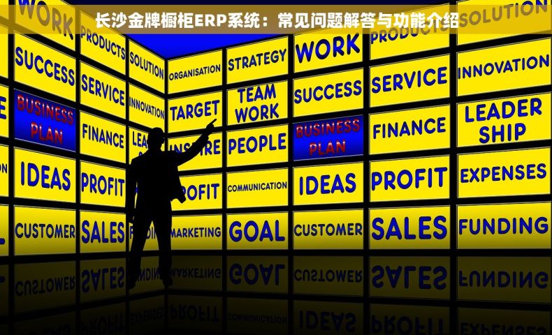长沙金牌橱柜ERP系统：常见问题解答与功能介绍