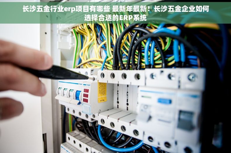 长沙五金行业erp项目有哪些 最新年最新！长沙五金企业如何选择合适的ERP系统