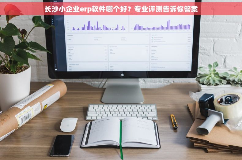 长沙小企业erp软件哪个好？专业评测告诉你答案