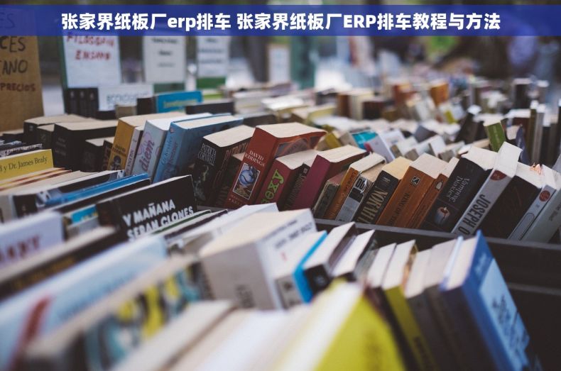 张家界纸板厂erp排车 张家界纸板厂ERP排车教程与方法