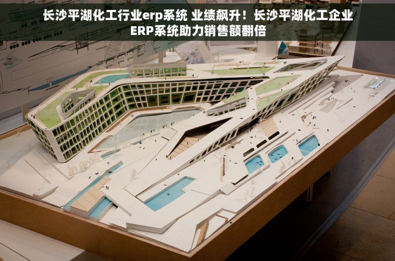 长沙平湖化工行业erp系统 业绩飙升！长沙平湖化工企业ERP系统助力销售额翻倍
