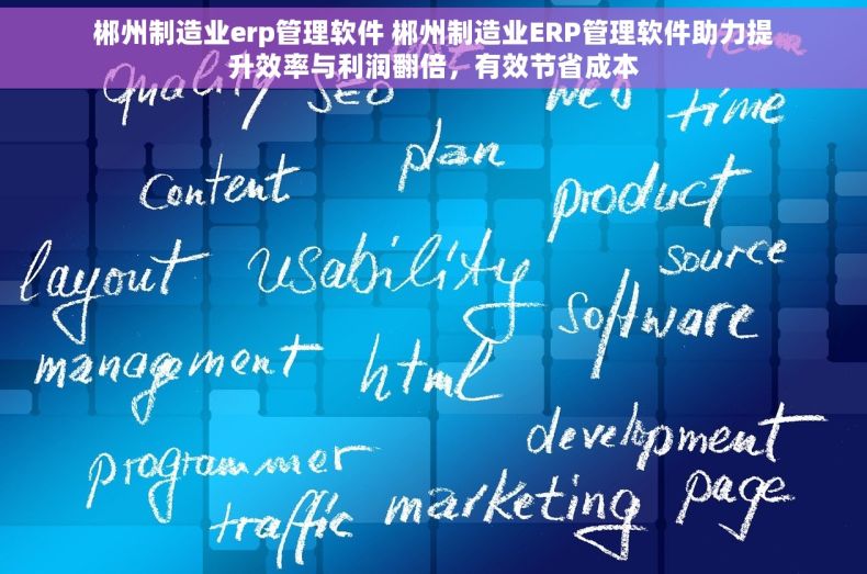 郴州制造业erp管理软件 郴州制造业ERP管理软件助力提升效率与利润翻倍，有效节省成本