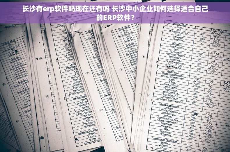 长沙有erp软件吗现在还有吗 长沙中小企业如何选择适合自己的ERP软件？
