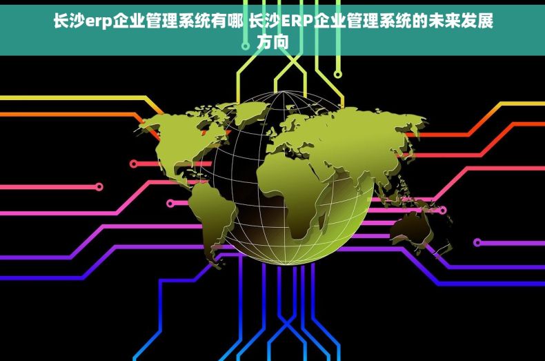 长沙erp企业管理系统有哪 长沙ERP企业管理系统的未来发展方向