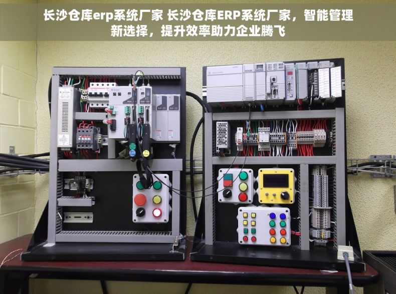 长沙仓库erp系统厂家 长沙仓库ERP系统厂家，智能管理新选择，提升效率助力企业腾飞
