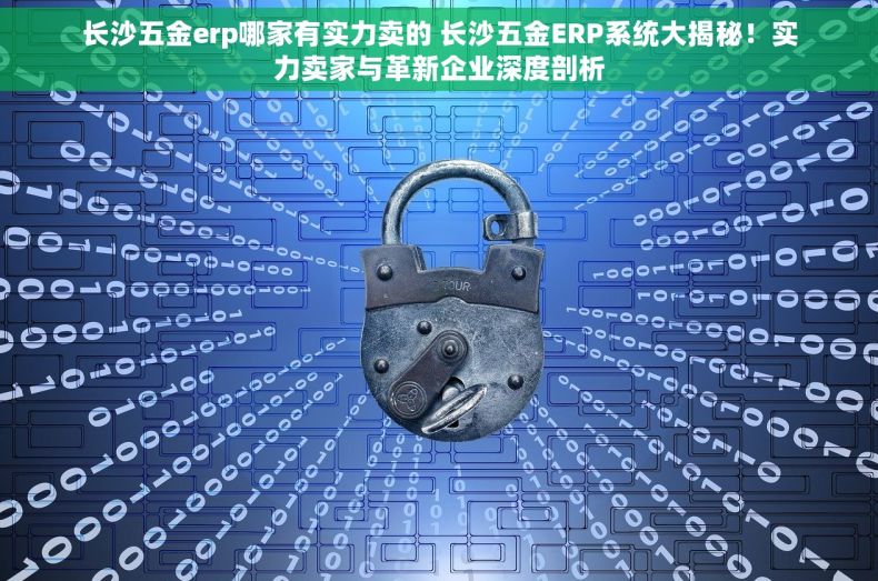 长沙五金erp哪家有实力卖的 长沙五金ERP系统大揭秘！实力卖家与革新企业深度剖析