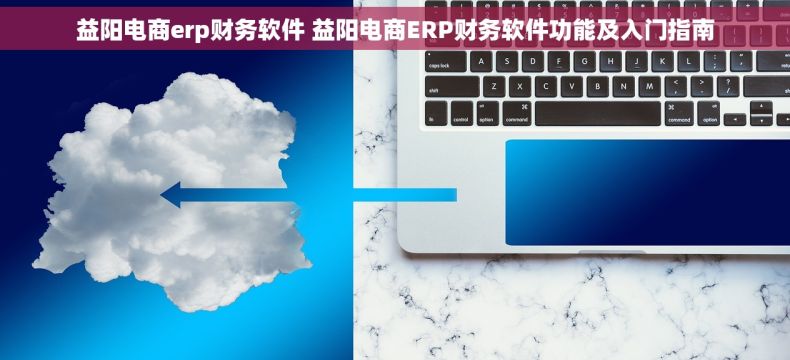 益阳电商erp财务软件 益阳电商ERP财务软件功能及入门指南