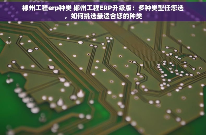郴州工程erp种类 郴州工程ERP升级版：多种类型任您选，如何挑选最适合您的种类