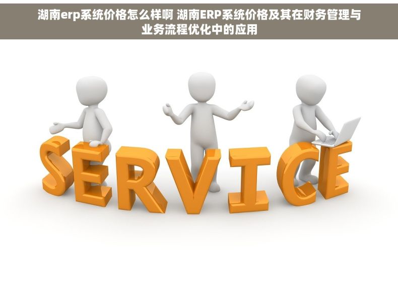 湖南erp系统价格怎么样啊 湖南ERP系统价格及其在财务管理与业务流程优化中的应用