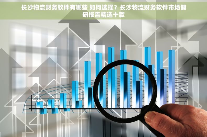 长沙物流财务软件有哪些 如何选择？长沙物流财务软件市场调研报告精选十款
