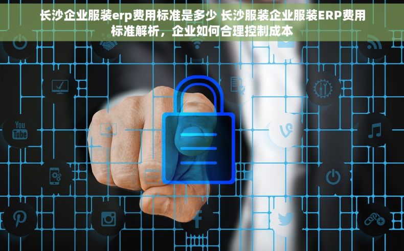 长沙企业服装erp费用标准是多少 长沙服装企业服装ERP费用标准解析，企业如何合理控制成本
