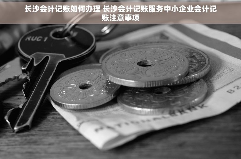 长沙会计记账如何办理 长沙会计记账服务中小企业会计记账注意事项