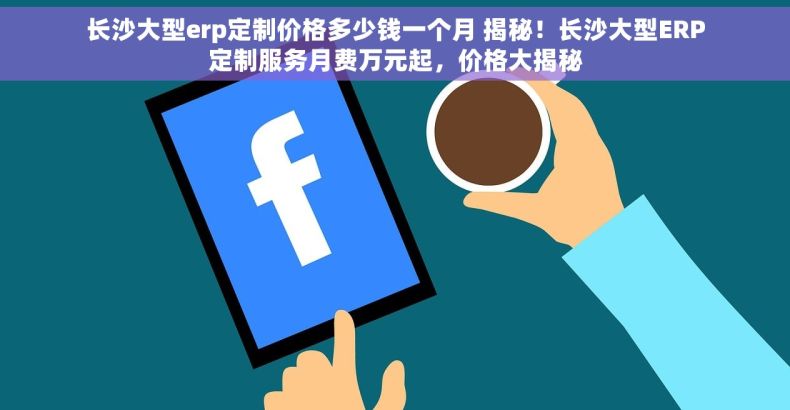 长沙大型erp定制价格多少钱一个月 揭秘！长沙大型ERP定制服务月费万元起，价格大揭秘
