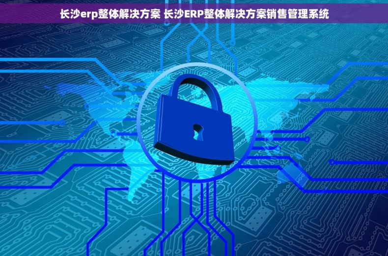 长沙erp整体解决方案 长沙ERP整体解决方案销售管理系统