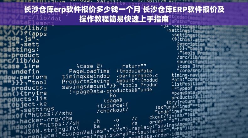 长沙仓库erp软件报价多少钱一个月 长沙仓库ERP软件报价及操作教程简易快速上手指南