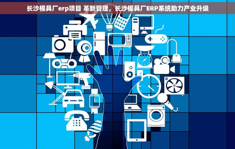 长沙模具厂erp项目 革新管理，长沙模具厂ERP系统助力产业升级