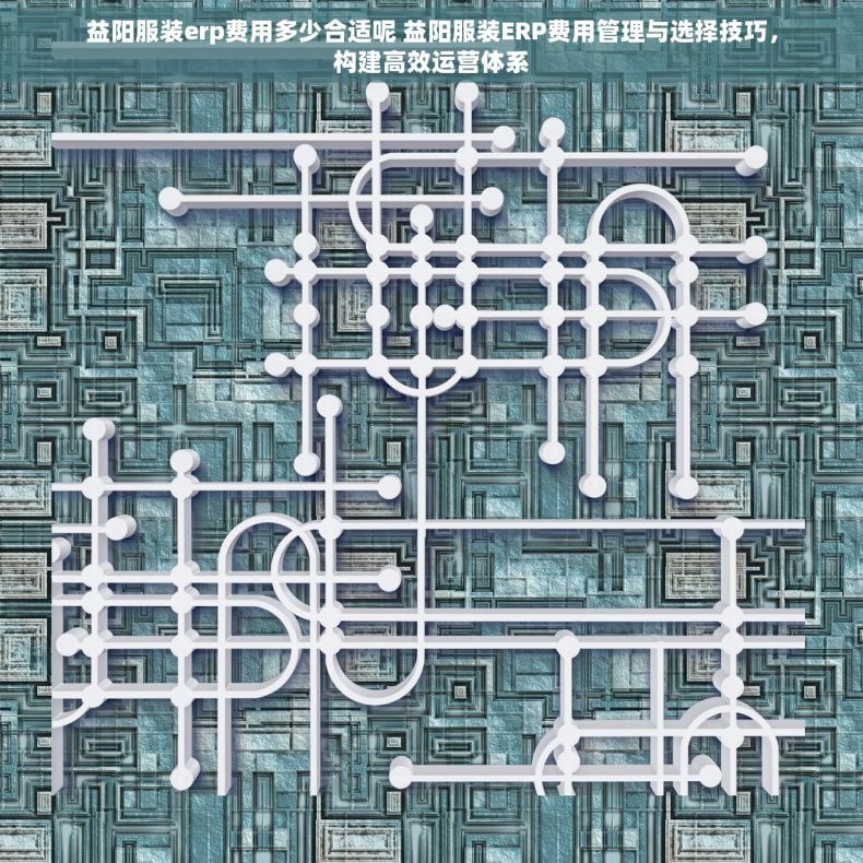 益阳服装erp费用多少合适呢 益阳服装ERP费用管理与选择技巧，构建高效运营体系