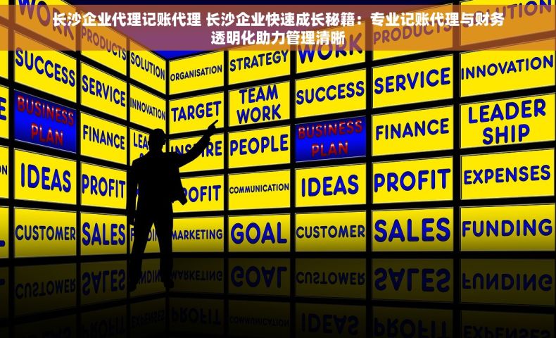 长沙企业代理记账代理 长沙企业快速成长秘籍：专业记账代理与财务透明化助力管理清晰