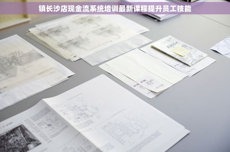 镇长沙店现金流系统培训最新课程提升员工技能