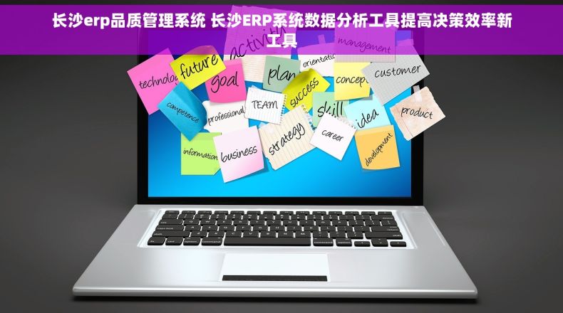 长沙erp品质管理系统 长沙ERP系统数据分析工具提高决策效率新工具