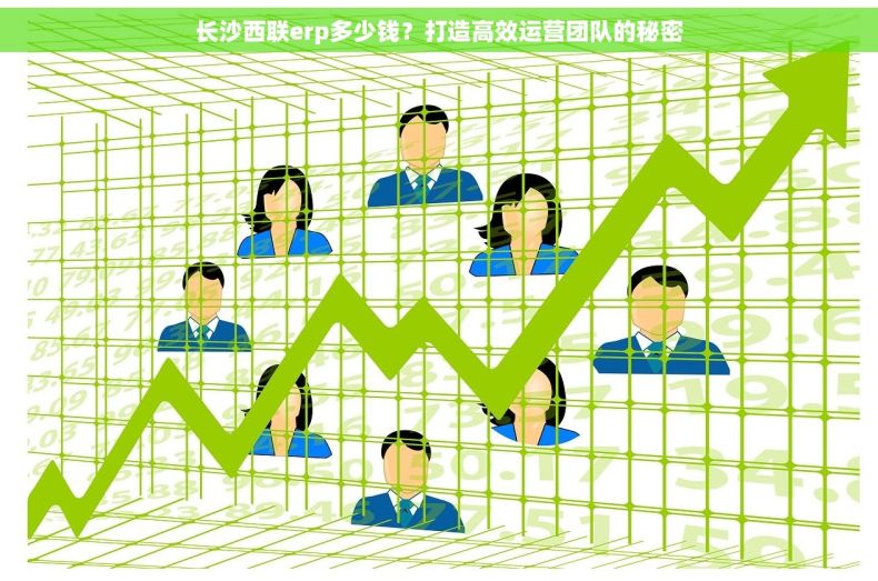 长沙西联erp多少钱？打造高效运营团队的秘密