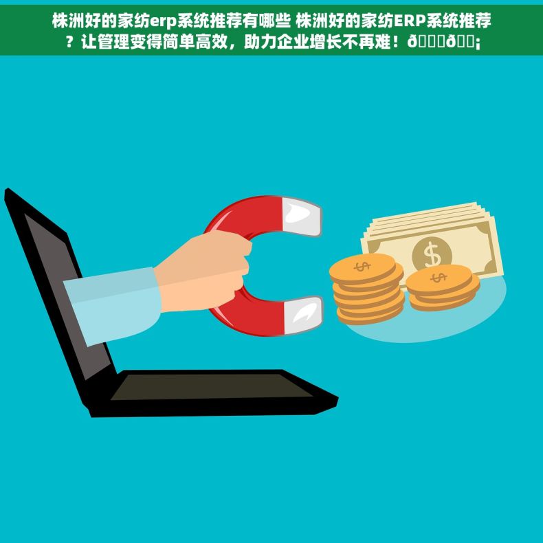 株洲好的家纺erp系统推荐有哪些 株洲好的家纺ERP系统推荐？让管理变得简单高效，助力企业增长不再难！📈💡