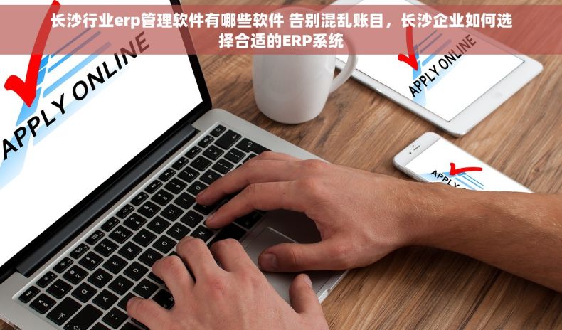 长沙行业erp管理软件有哪些软件 告别混乱账目，长沙企业如何选择合适的ERP系统