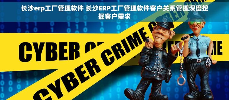 长沙erp工厂管理软件 长沙ERP工厂管理软件客户关系管理深度挖掘客户需求