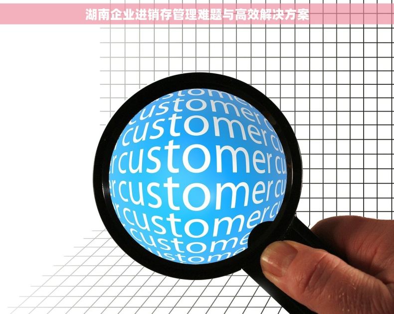 湖南企业进销存管理难题与高效解决方案