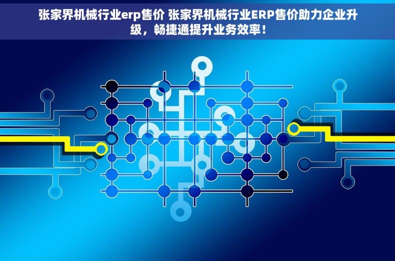 张家界机械行业erp售价 张家界机械行业ERP售价助力企业升级，畅捷通提升业务效率！