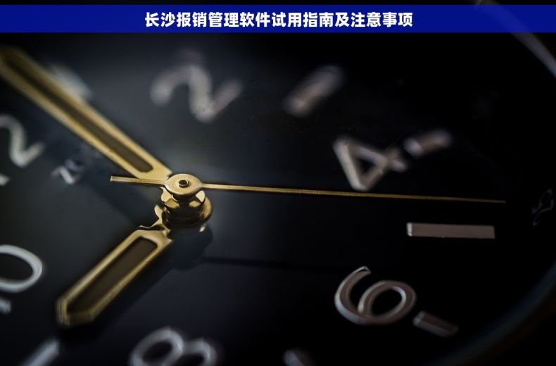 长沙报销管理软件试用指南及注意事项