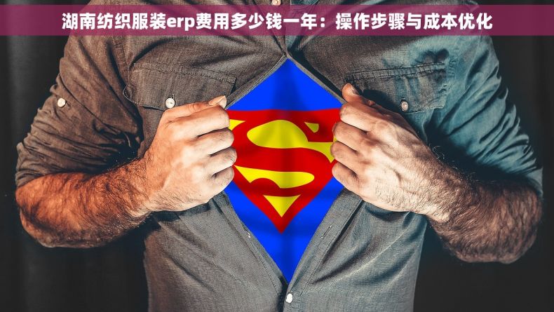 湖南纺织服装erp费用多少钱一年：操作步骤与成本优化