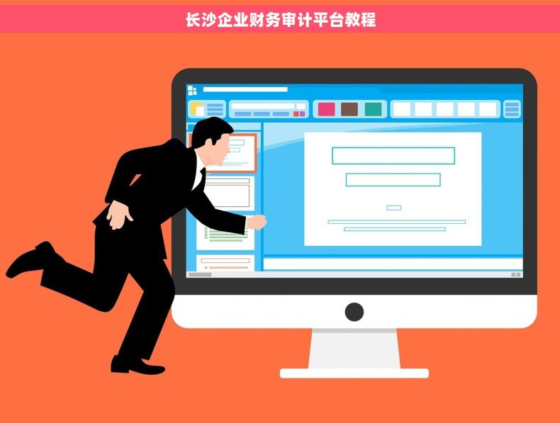 长沙企业财务审计平台教程