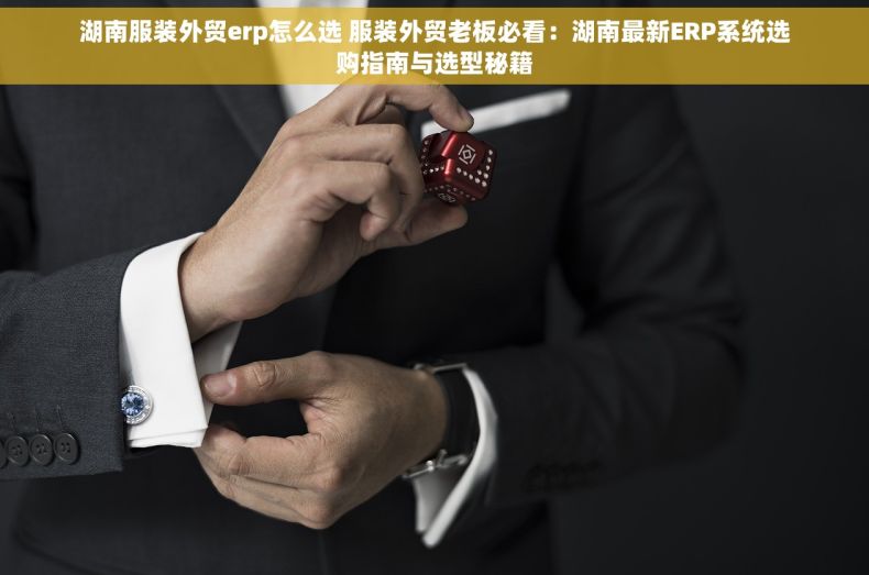 湖南服装外贸erp怎么选 服装外贸老板必看：湖南最新ERP系统选购指南与选型秘籍