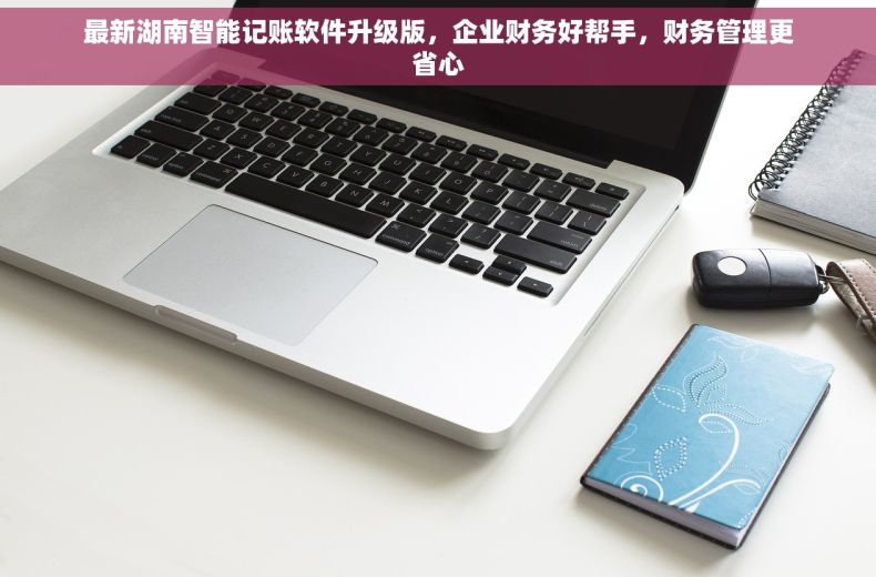 最新湖南智能记账软件升级版，企业财务好帮手，财务管理更省心