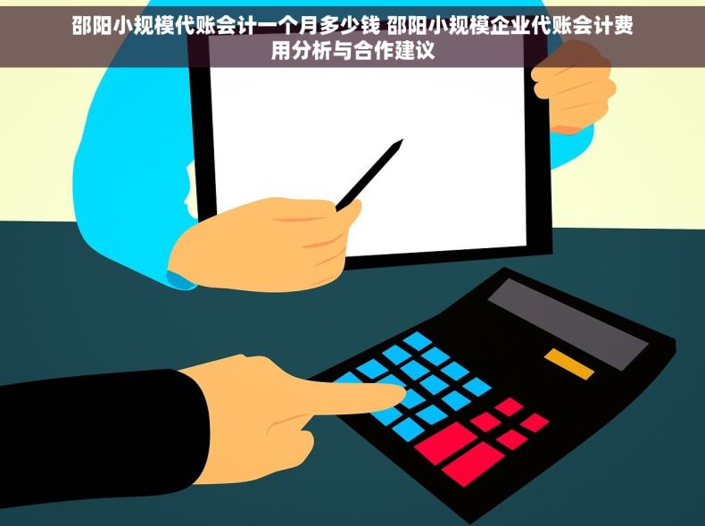 邵阳小规模代账会计一个月多少钱 邵阳小规模企业代账会计费用分析与合作建议