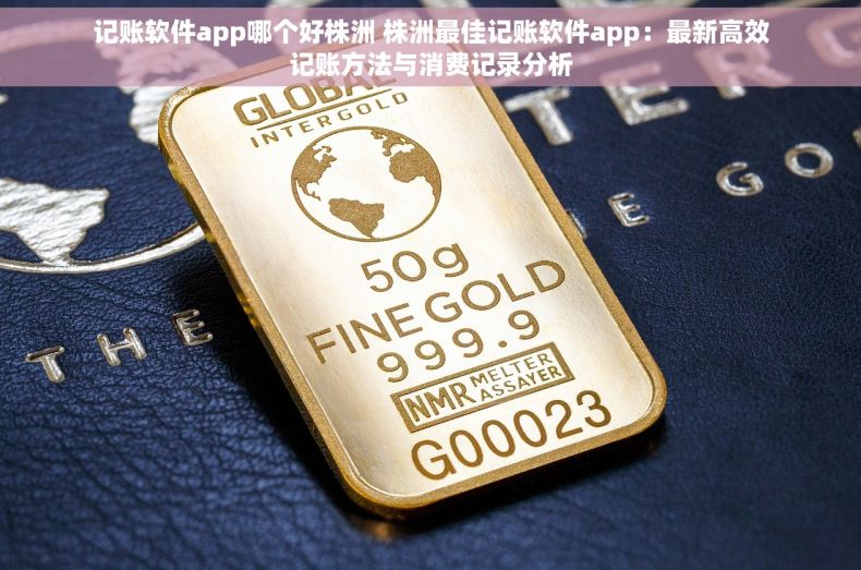 记账软件app哪个好株洲 株洲最佳记账软件app：最新高效记账方法与消费记录分析
