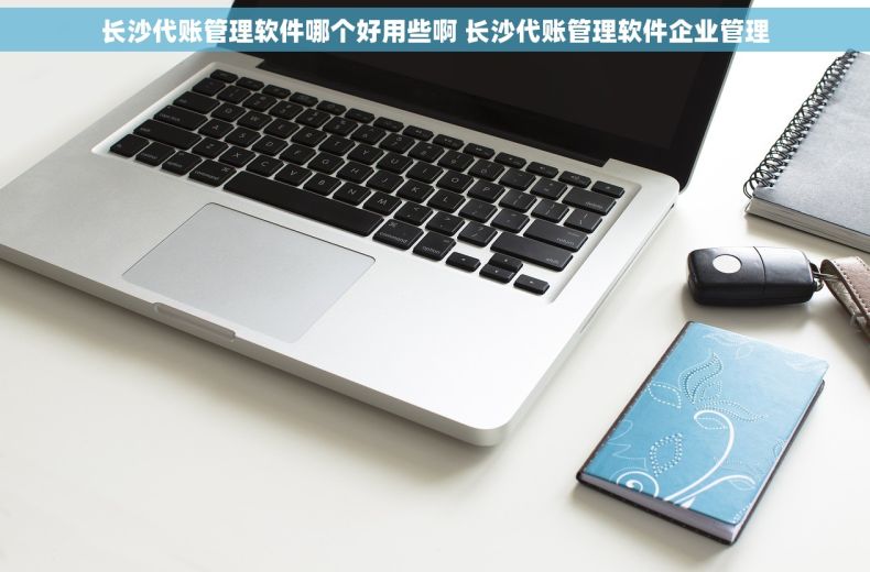 长沙代账管理软件哪个好用些啊 长沙代账管理软件企业管理