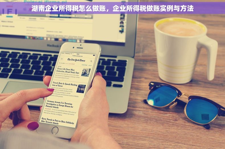 湖南企业所得税怎么做账，企业所得税做账实例与方法
