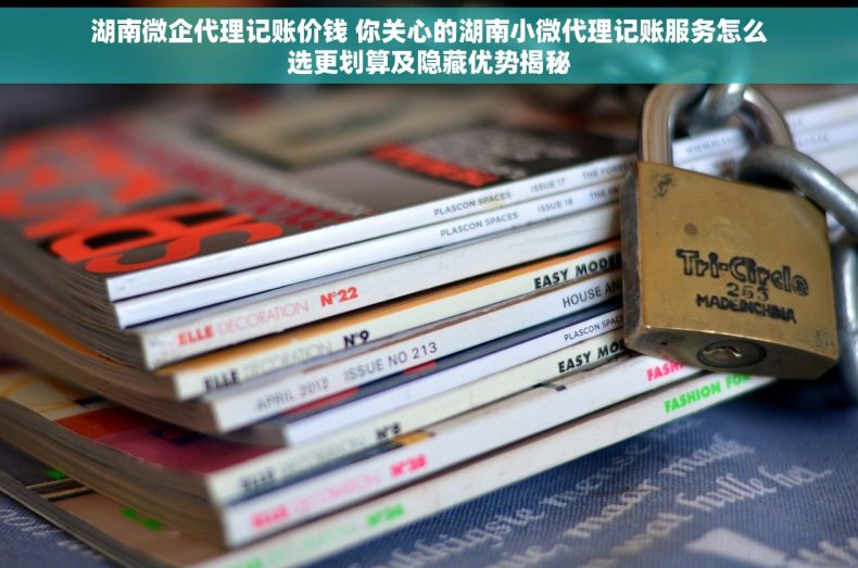 湖南微企代理记账价钱 你关心的湖南小微代理记账服务怎么选更划算及隐藏优势揭秘