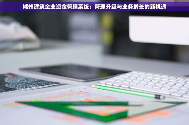 郴州建筑企业资金管理系统：管理升级与业务增长的新机遇
