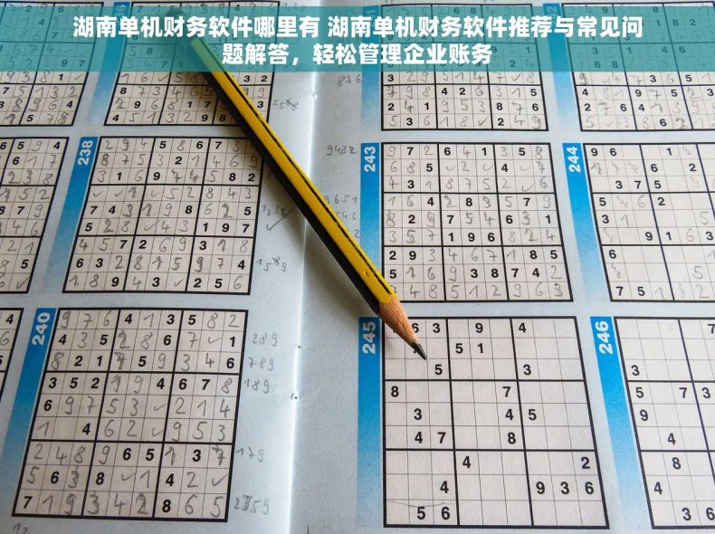 湖南单机财务软件哪里有 湖南单机财务软件推荐与常见问题解答，轻松管理企业账务