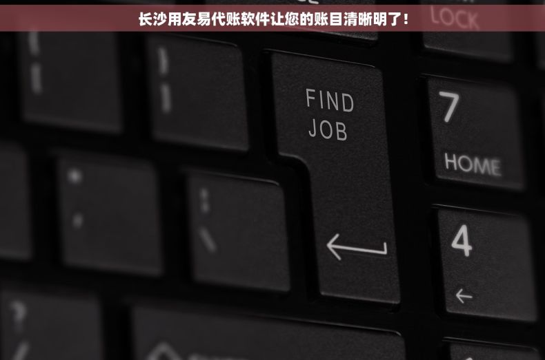长沙用友易代账软件让您的账目清晰明了！