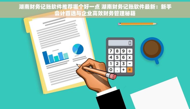 湖南财务记账软件推荐哪个好一点 湖南财务记账软件最新：新手会计首选与企业高效财务管理秘籍