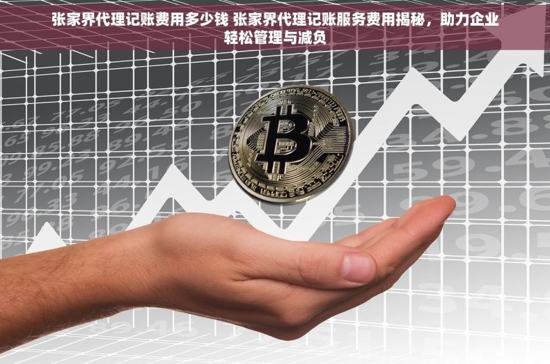 张家界代理记账费用多少钱 张家界代理记账服务费用揭秘，助力企业轻松管理与减负