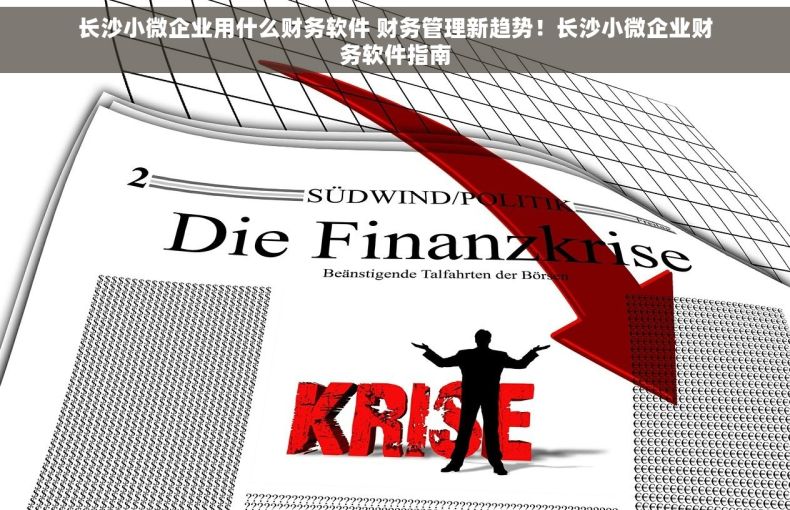 长沙小微企业用什么财务软件 财务管理新趋势！长沙小微企业财务软件指南