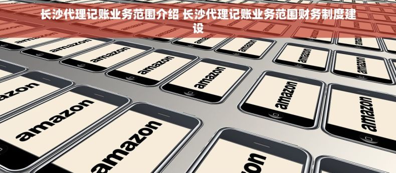 长沙代理记账业务范围介绍 长沙代理记账业务范围财务制度建设