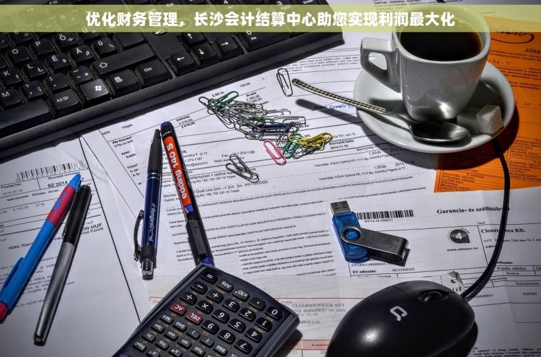 优化财务管理，长沙会计结算中心助您实现利润最大化