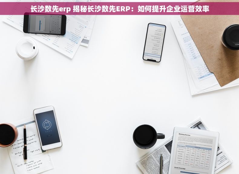 长沙数先erp 揭秘长沙数先ERP：如何提升企业运营效率